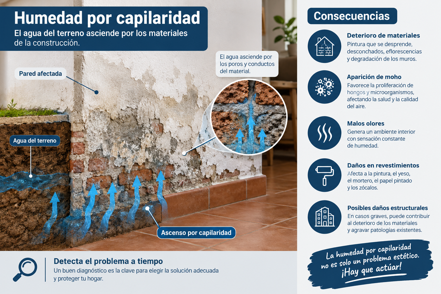 La peligrosidad de la humedad por capilaridad: riesgos y cómo actuar