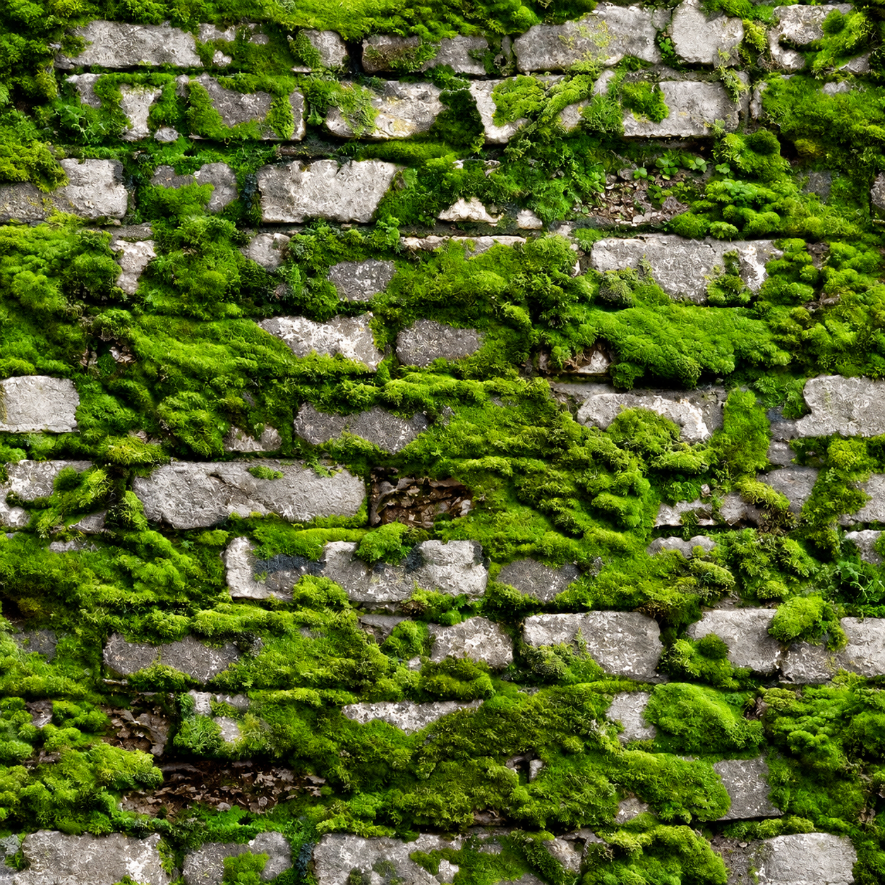 Papel Pintado Textura Decorativa en Tonos Naturales - vista alternativa